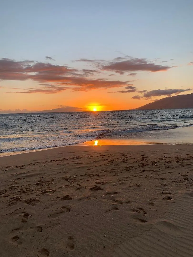 Hale Kamaole 325 Villa Wailea